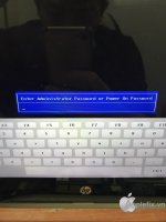 z2940034272376_e50f430e919da15194e5e37818940ffe.jpg