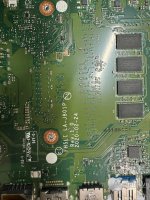 Acer 1.jpg