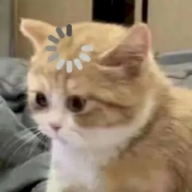 huynhdat